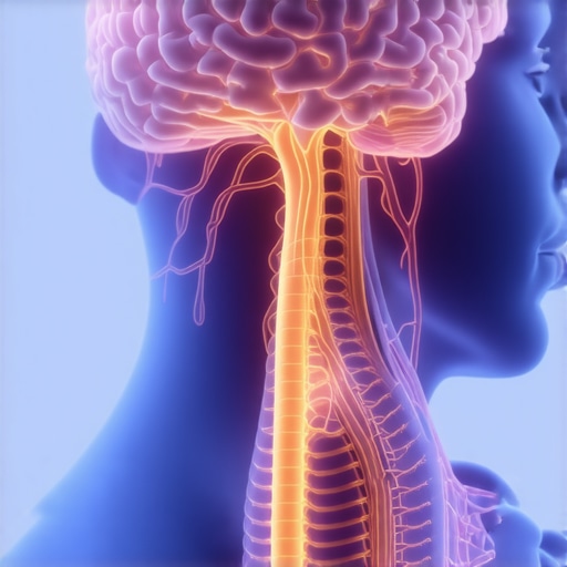 Illustration showing how the brain and spine control muscle tightness through neural signals.